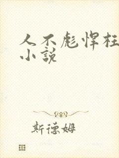 人不彪悍枉少年小说封面