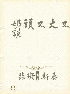 奶头又大又骚小说