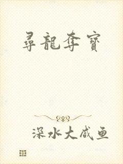 寻龙夺宝