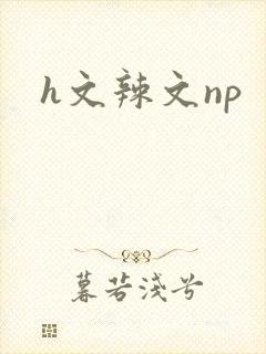 h文辣文np封面