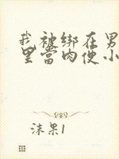 我被绑在男公厕里当肉便小说