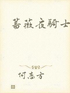 蔷薇夜骑士封面