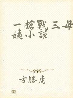 一枪战三母2雪姨小说