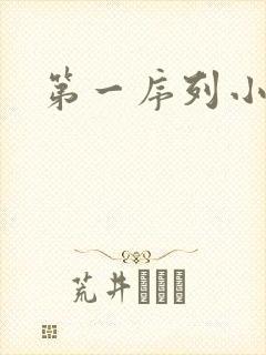 第一序列小说