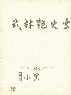 武林艳史云平封面