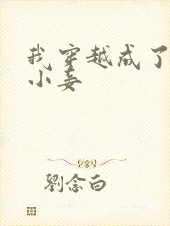 我穿越成了通房小妾