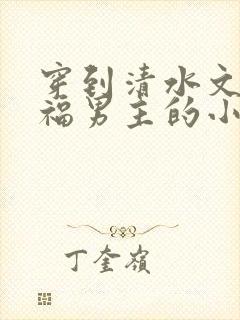 穿到清水文里造福男主的小说
