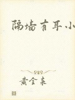 隔墙有耳小说封面