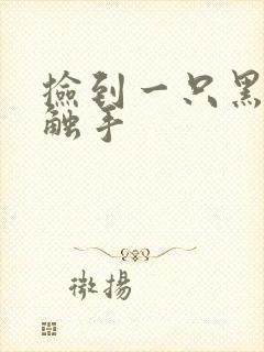 捡到一只黑心小触手封面