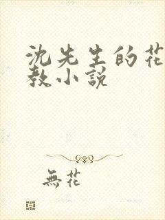 沈先生的花式管教小说