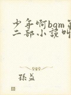 少年啊bgm第二部小说叫什么