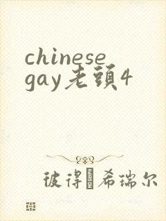 chinesegay老头4