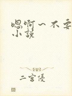 嗯啊～不要啊h小说