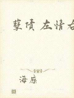 孽债 左情右爱封面