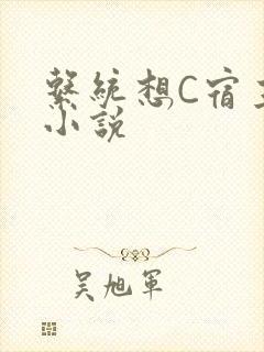 系统想C宿主的小说