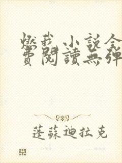 燃我小说全文免费阅读无弹窗