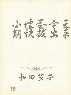 小坏蛋今天危险期快拔出来