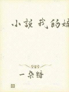 小说 我的娇妻