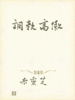 调教高傲