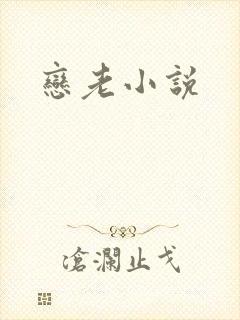 恋老小说