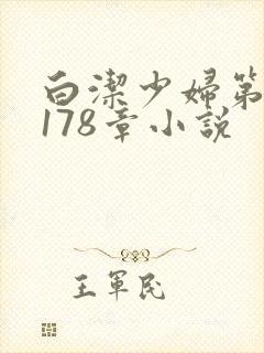 白洁少妇第1一178章小说封面