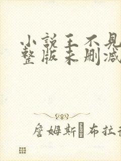 小说王不见王完整版未删减小说