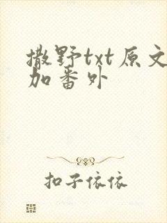 撒野txt原文加番外