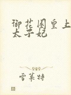 御花园皇上撞着太子妃