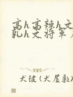 高h高辣h文乱乳h文将军府