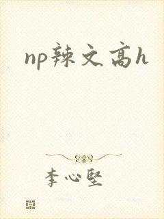 np辣文高h