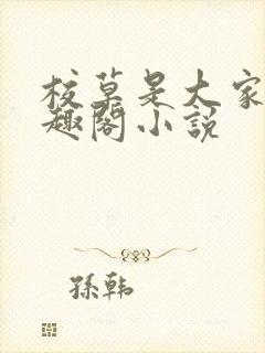 校草是大家的笔趣阁小说封面