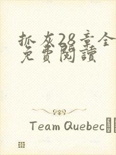 抓灰28章全部免费阅读