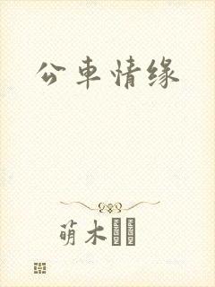 公车情缘