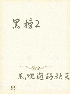 黑榜2封面