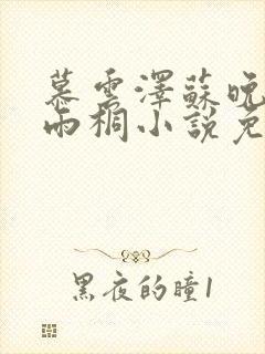 慕云泽苏晚晴夏雨桐小说免费阅读封面