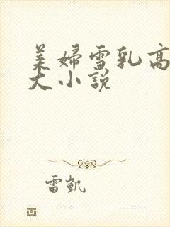 美妇雪乳高耸硕大小说