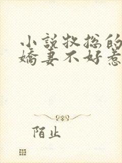 小说牧总的偏爱娇妻不好惹全文阅读