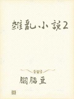 杂乱小说2