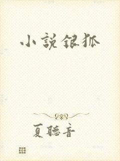 小说银狐