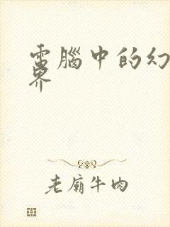 电脑中的幻想世界封面