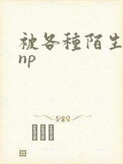 被各种陌生人 np