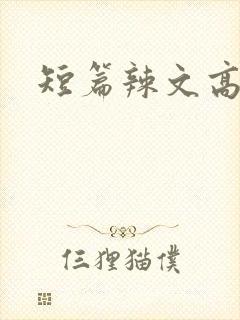 短篇辣文高h