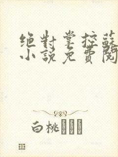 绝对掌控苏绵绵小说免费阅读全文