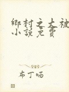 乡村之大被同眠小说免费