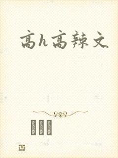 高h高辣文