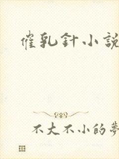 催乳针小说封面