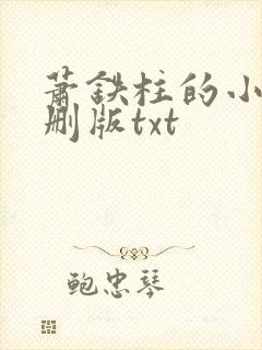 萧铁柱的小说未删版txt