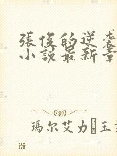 张俊的逆袭之路小说最新章节