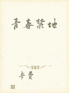 青春禁地封面