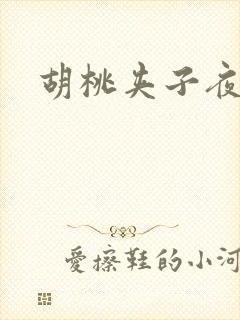 胡桃夹子夜未眠